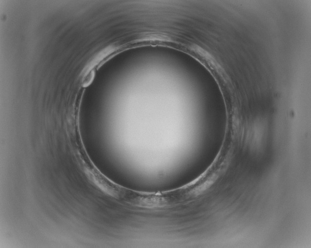 X0000081571129200701151205