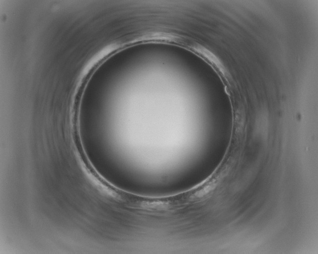 X0000081571135200701151205