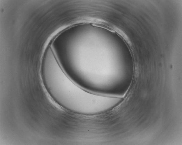 X0000081571136200701151205