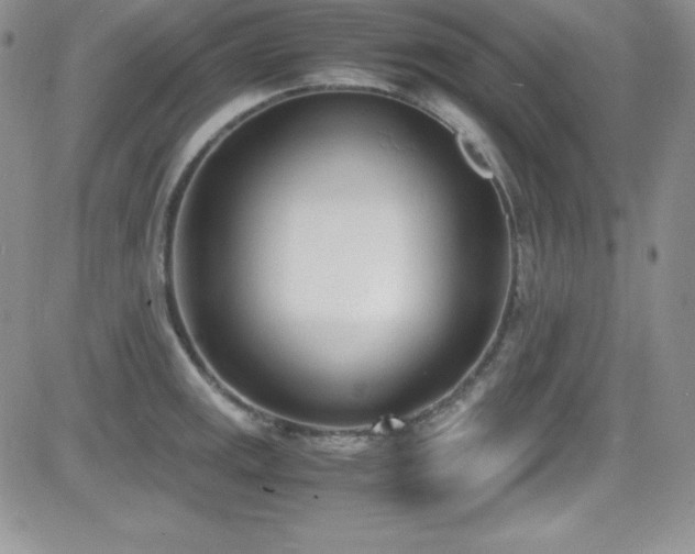 X0000081571141200701151205
