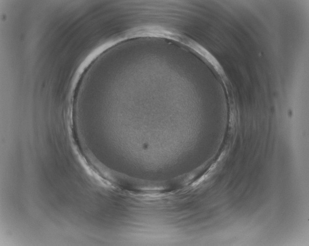 X0000081571144200701151205