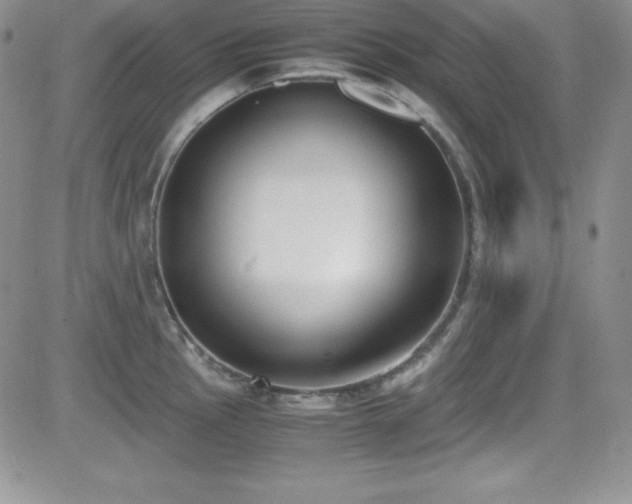 X0000081571145200701151205