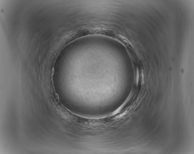 X0000081571153200701151205