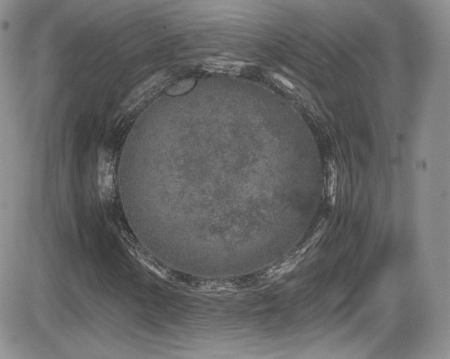 X0000081571154200701151205