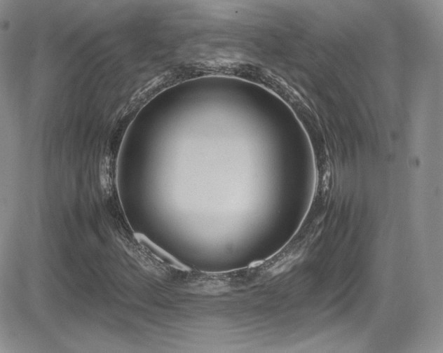 X0000081571156200701151205