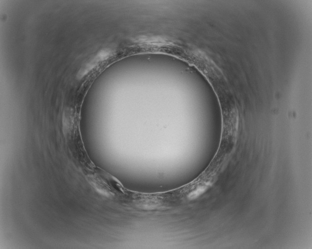 X0000081571157200701151205