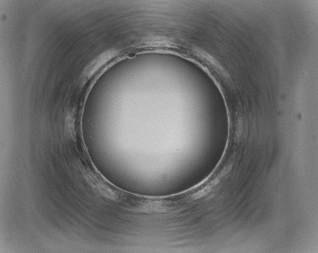 X0000081571162200701151204