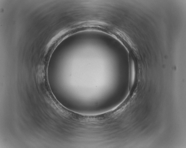 X0000081571164200701151204