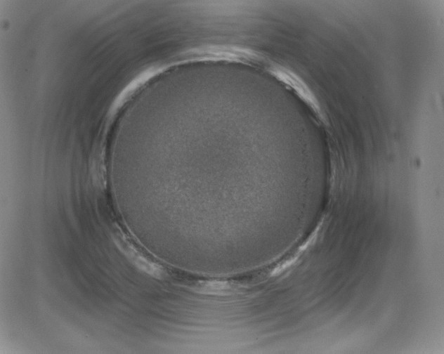 X0000081571172200701151204