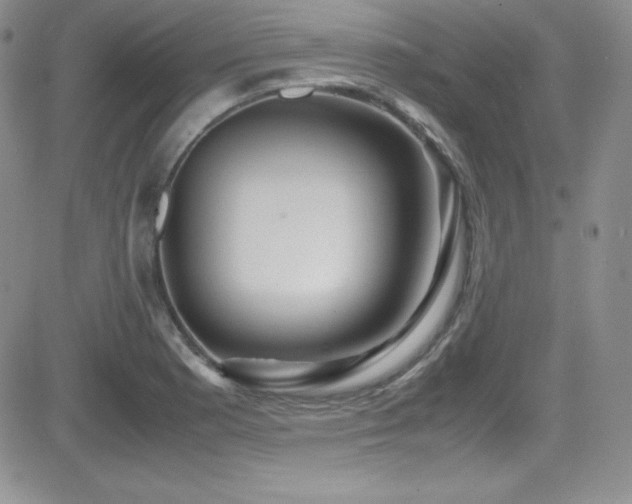 X0000081571177200701151204