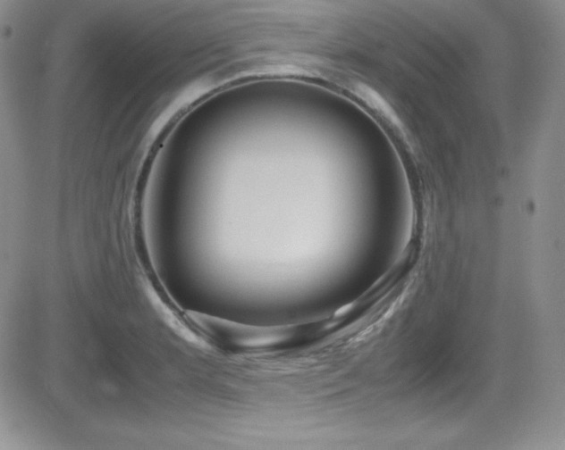 X0000081571181200701151204
