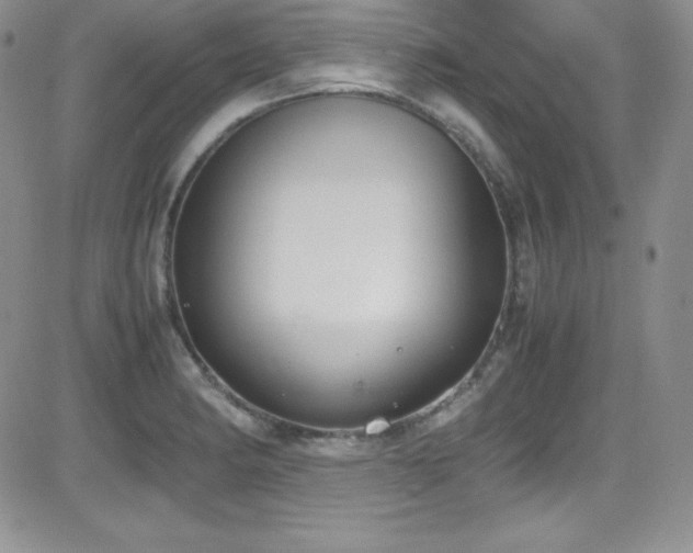 X0000081571182200701151204