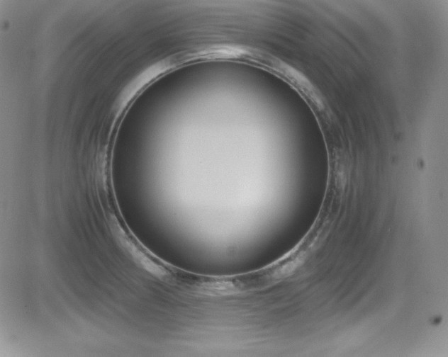 X0000081571186200701151204
