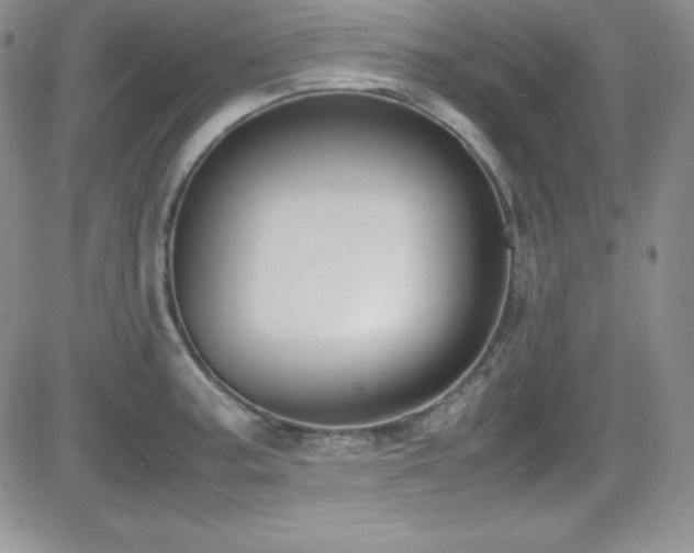 X0000081571187200701151204