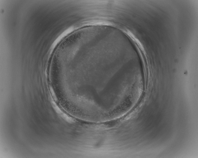 X0000081571189200701151204