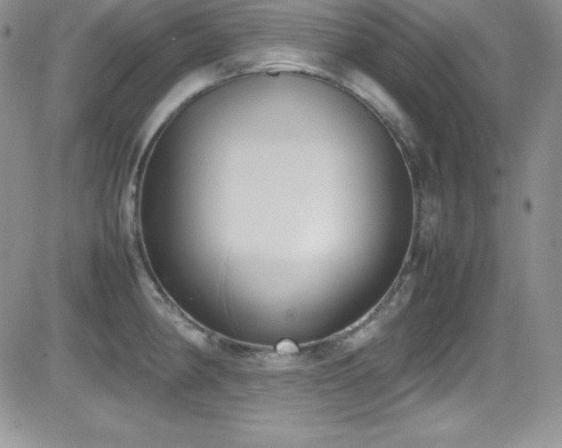 X0000081571190200701151204
