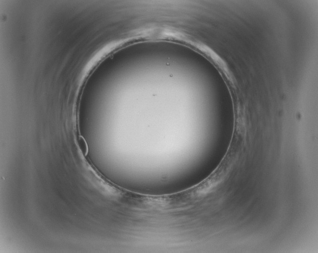 X0000081571191200701151204