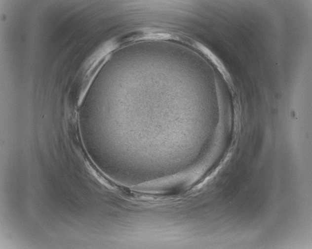 X0000081571193200701151204