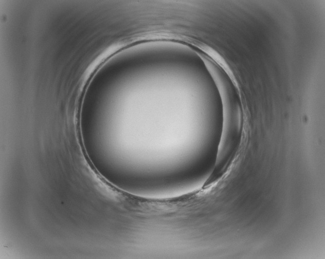X0000081571197200701151204