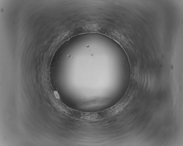 X0000081571201200701151203