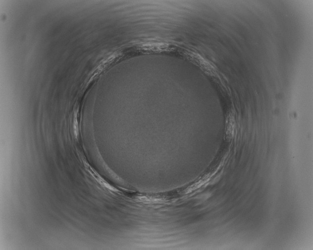 X0000081571202200701151203