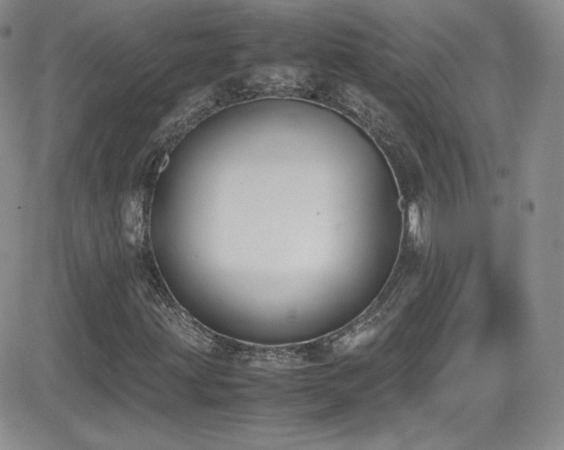 X0000081571203200701151203