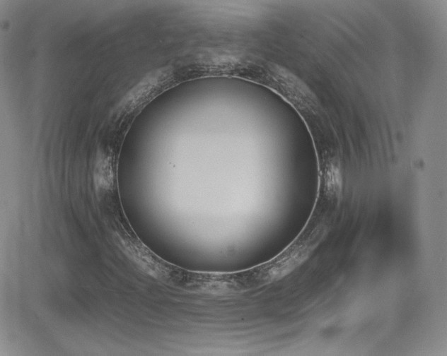 X0000081571204200701151203
