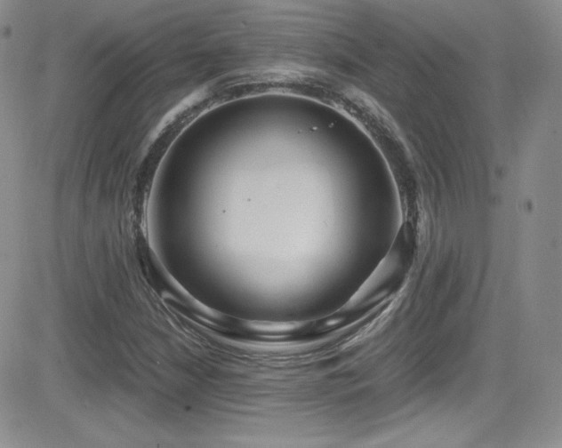 X0000081571210200701151203