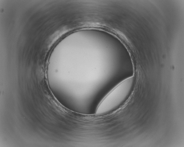 X0000081571212200701151203