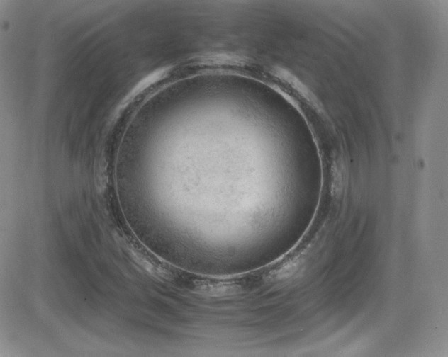X0000081571213200701151203