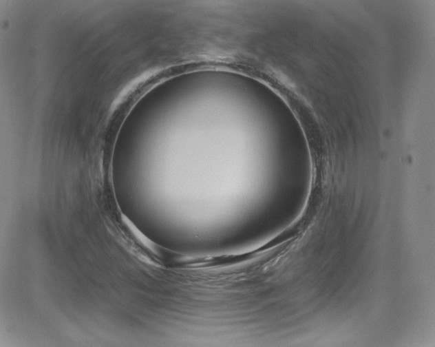X0000081571214200701151203