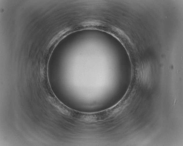 X0000081571217200701151203