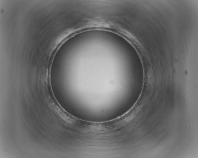 X0000081571220200701151203