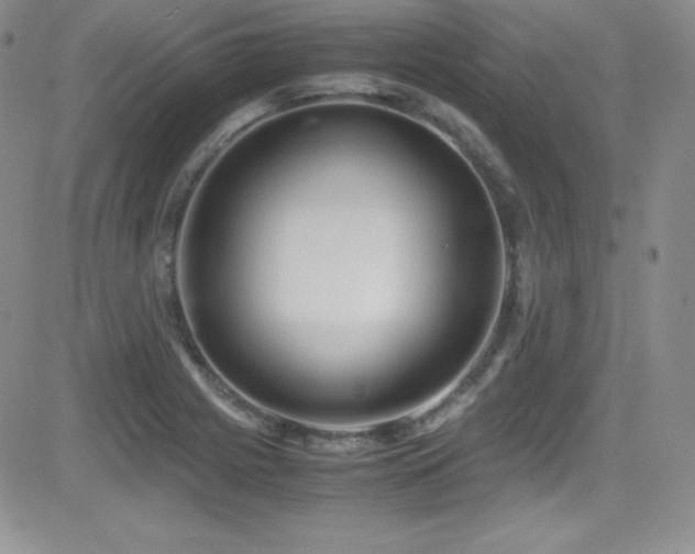 X0000081571225200701151203