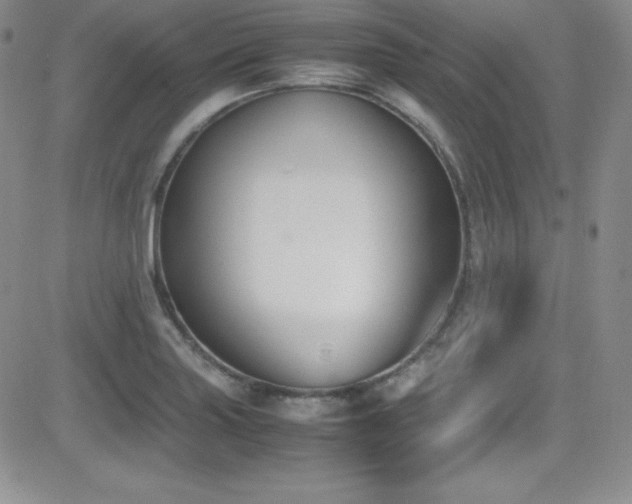 X0000081571227200701151203
