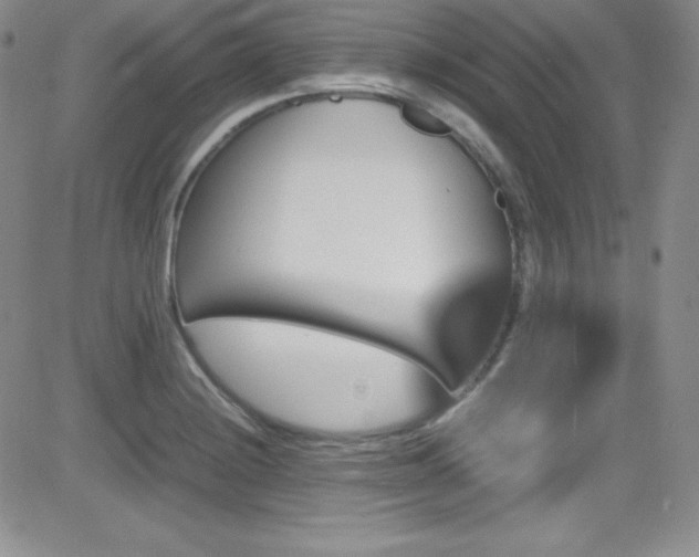 X0000081571228200701151203