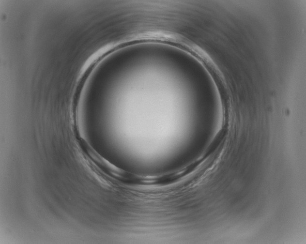 X0000081571230200701151204