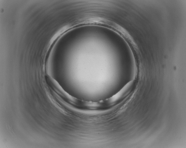 X0000081571234200701151204