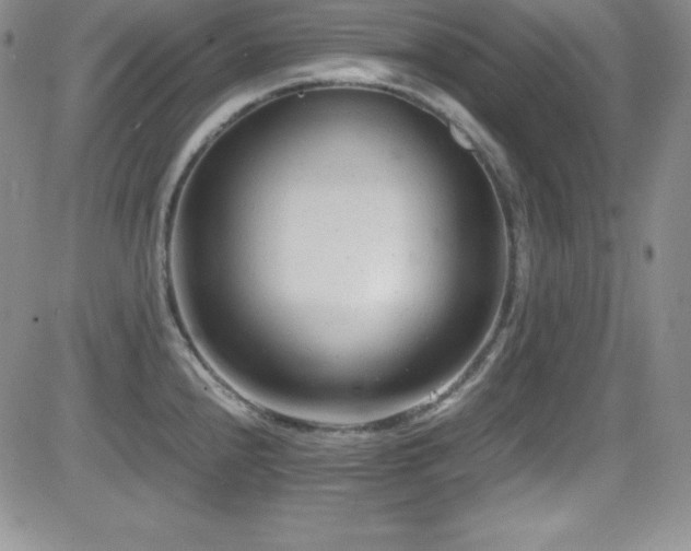 X0000081571240200701151204