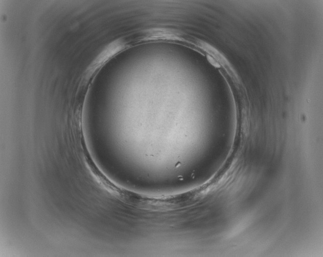 X0000081571241200701151204