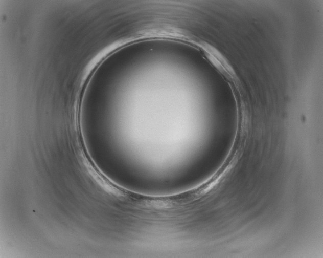X0000081571246200701151204