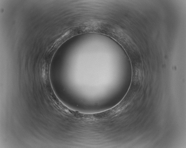 X0000081571250200701151203