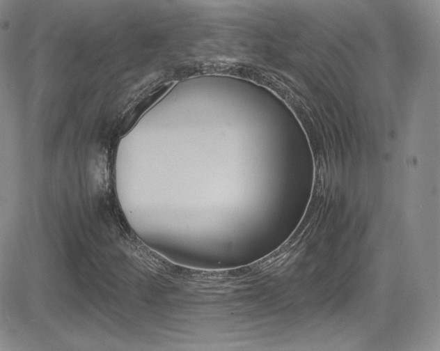 X0000081571252200701151203
