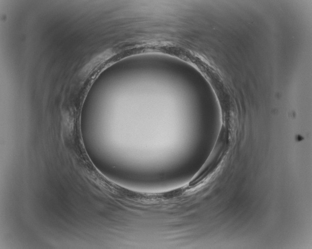X0000081571257200701151203