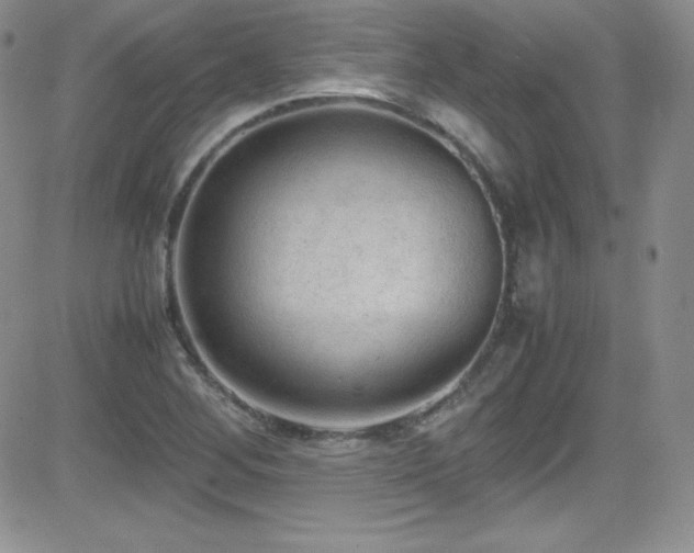 X0000081571268200701151203