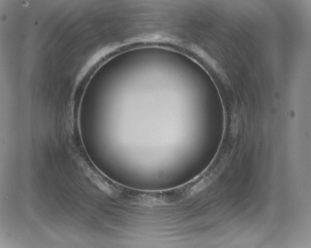 X0000081571270200701151203