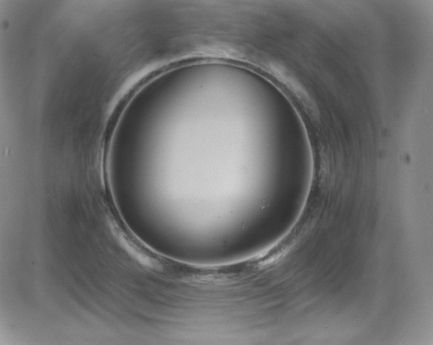 X0000081571272200701151203