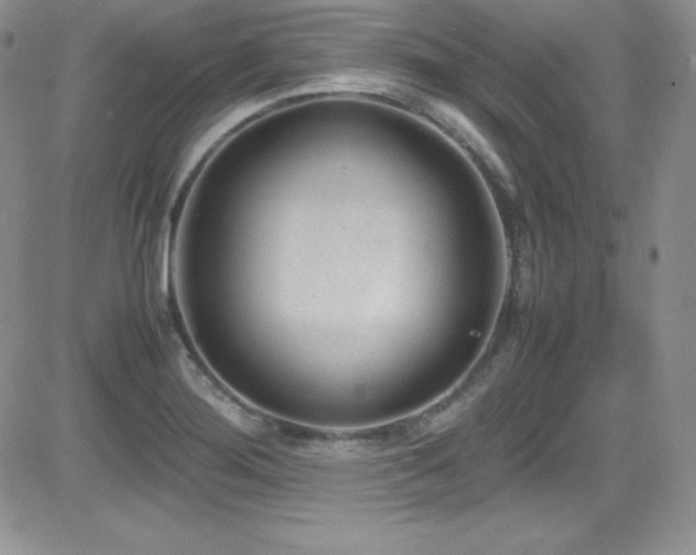 X0000081571276200701151203