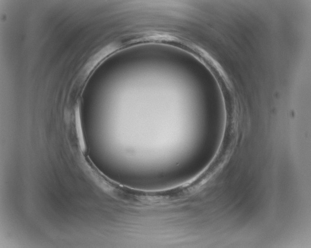 X0000081571281200701151203