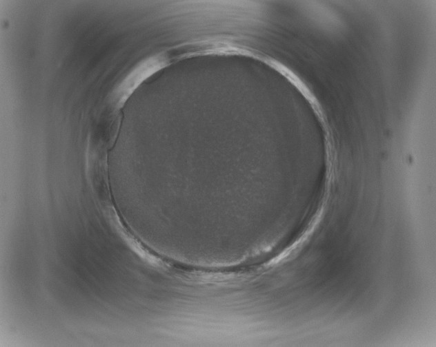X0000081571289200701151202